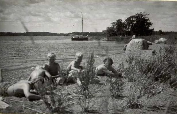 SandSugga 1946 V-vart